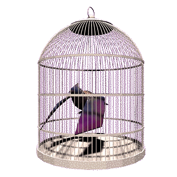 an animated bird flying in a cage