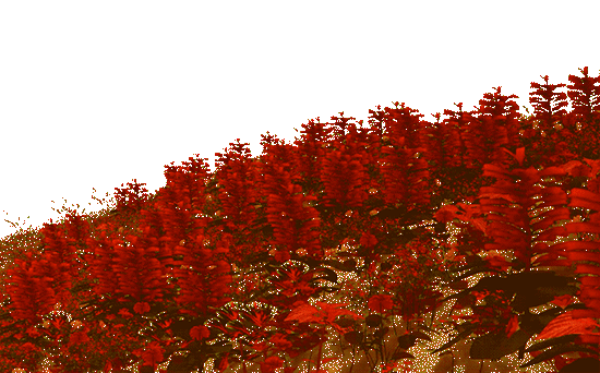 animated field of red flowers blowing in the wind